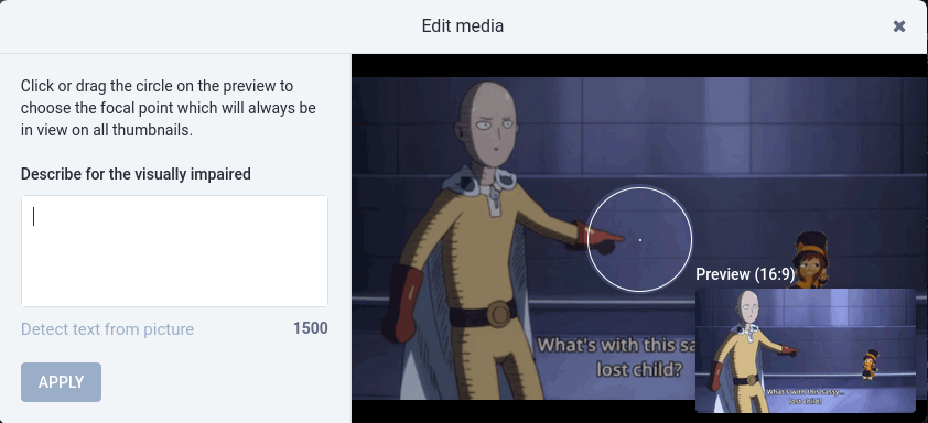 编辑媒体以添加媒体描述，或选择预览缩略图的焦点