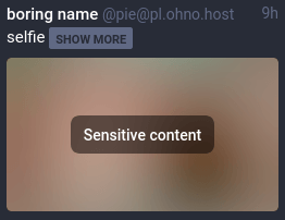 在CW中被标记为敏感内容的嘟文
